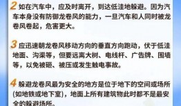 肺炎疫情最新爆料,追踪病毒变异与全球防控策略