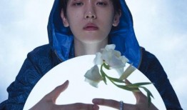 伯贤最新爆料,新作品背后的故事与灵感来源