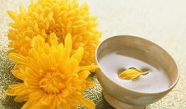 氧化菊最新爆料,揭秘神秘事件背后的真相