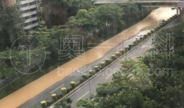 罗沙最新爆料公司有哪些,揭秘公司神秘面纱背后的秘密