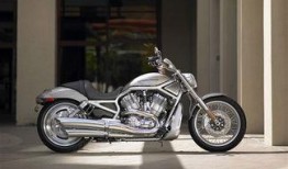 哈雷最新爆料新闻,揭秘明星私生活与娱乐圈幕后真相