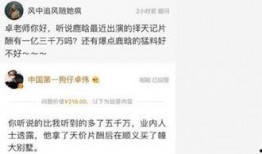 卓伟爆料吴映洁案件最新,吴映洁案件背后惊人真相