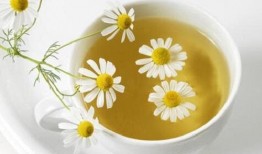 氧化菊最新爆料,揭秘神秘事件背后的真相