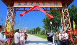 惠州爆料博主事件最新,真相与争议交织的舆论漩涡