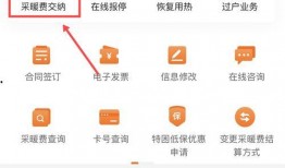 泉城爆料最新消息视频,最新视频揭秘事件真相