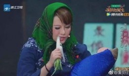 袁莉最新爆料视频大全集,揭秘娱乐圈风云变幻