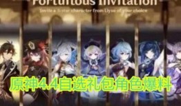 原神最新爆料自选角色,神秘自选角色惊艳登场，探索未知冒险之旅