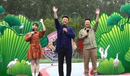 影星最新爆料新闻视频,揭秘幕后故事与真实情感