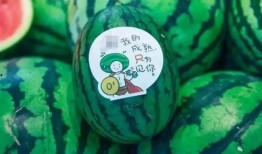 新瓜最新爆料网红,揭秘背后惊人真相