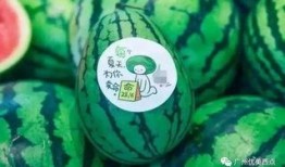 新瓜最新爆料网红,揭秘背后惊人真相