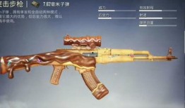 吃鸡枪皮肤最新爆料大全,炫酷外观与性能升级一览无遗