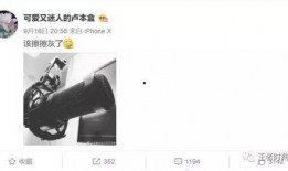 袁女士最新爆料微博是真的吗,袁女士最新爆料微博真实性揭秘