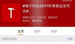 锤子公司最新爆料,颠覆性新品即将亮相，引领科技潮流！