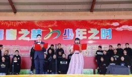 颍上二中最新爆料新闻,校园风云再起，真相揭秘！